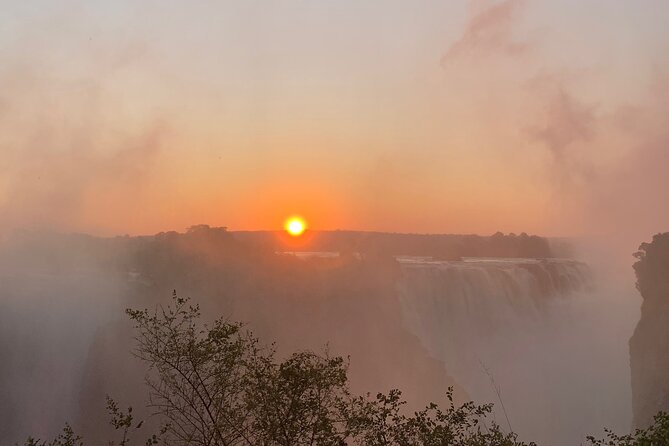 Guided Tour of the Falls Rainforest - Key highlights worth planning for