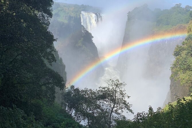 Guided Tour of the Falls Rainforest - Price and value: $25 is low, but park fees are extra