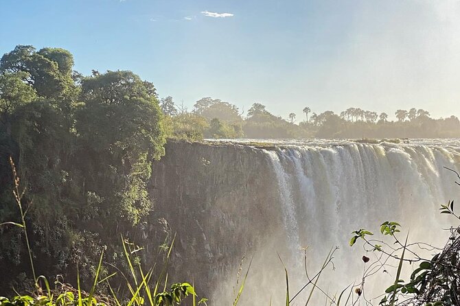 Guided Tour of the Falls Rainforest - The single stop that still feels like a full experience