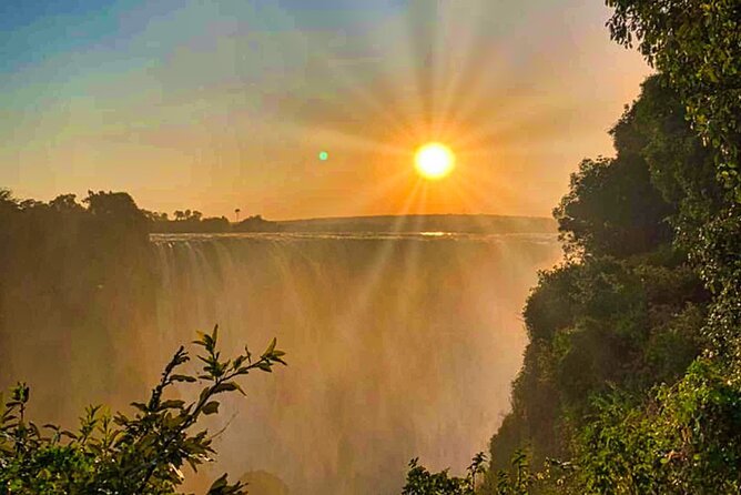 Guided Tour of the Falls Rainforest - What you’ll see in the rainforest: mist, greenery, and falls in a different light