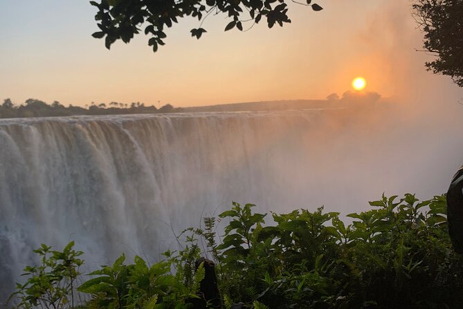 Guided Tour of the Falls Rainforest - The guide experience: why MacDonald gets praised for more than timing