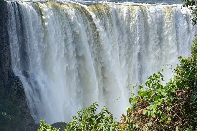 Guided Tour of the Falls Rainforest - Pickup and timing: a short drive and a clean 2 to 3 hour plan
