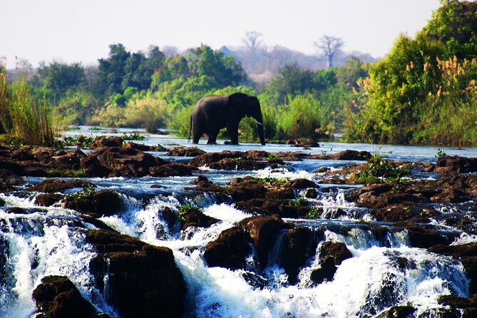 Guided Tour of the Falls (ZIM side) Wildlife Safari, by Savannah - Key highlights to know before you go