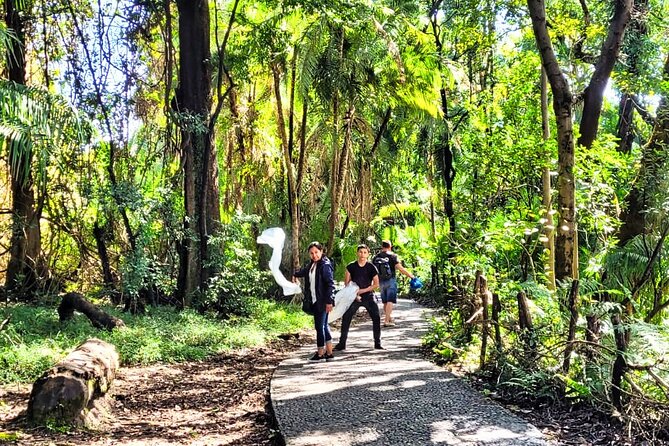 Guided Tour of the Falls (ZIM side) Wildlife Safari, by Savannah - A Zim-side Victoria Falls walk that starts with a wildlife safari