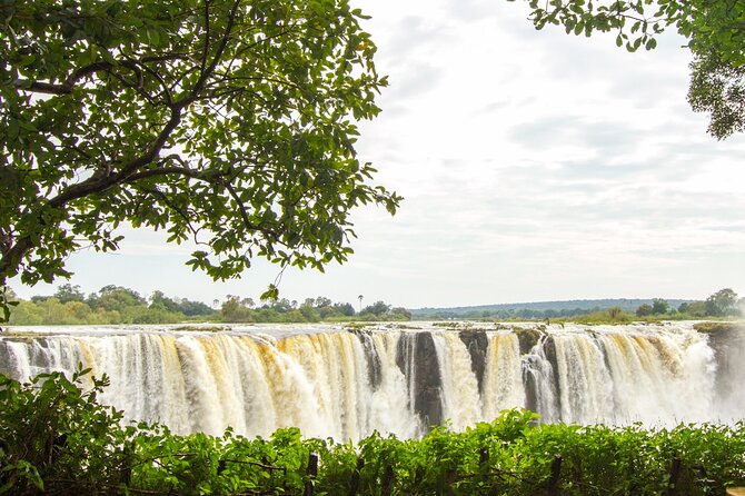 Guided Tour of the Falls (Zimbabwe side) - Pickup, Mobile Ticket, and Simple Day-Of Moves
