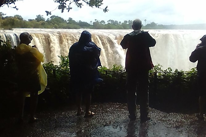 Guided Tour Of the Victoria Falls Zimbabwe - Big Tree Photo Stop: A Quick Moment With Real Meaning