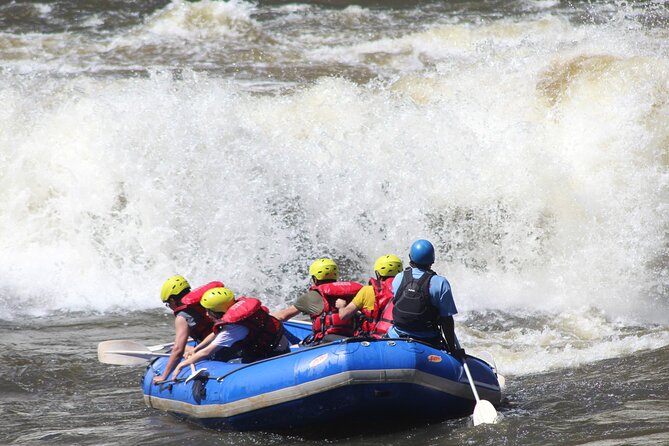 Half Day Zambezi Whitewater Rafting - Price and value: what $140 really buys you