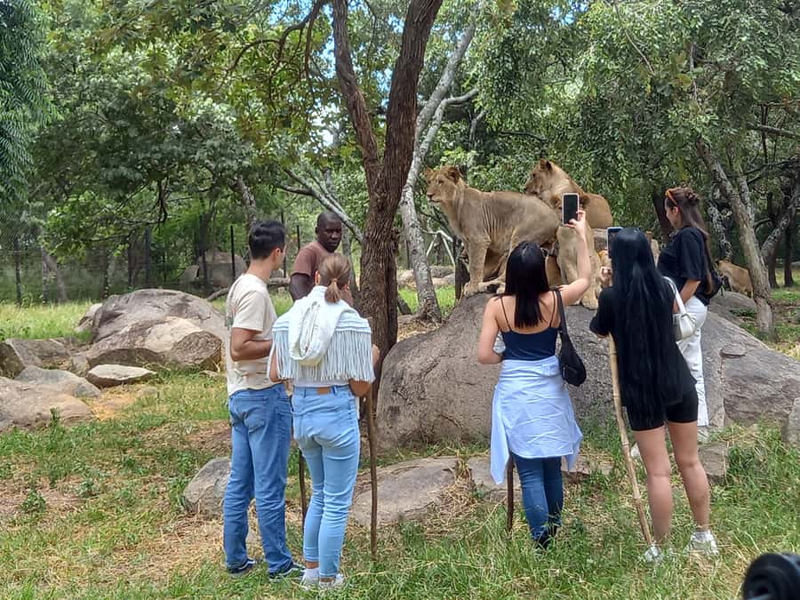 Harare: Half Day Outdoor Adventure - Key highlights at a glance