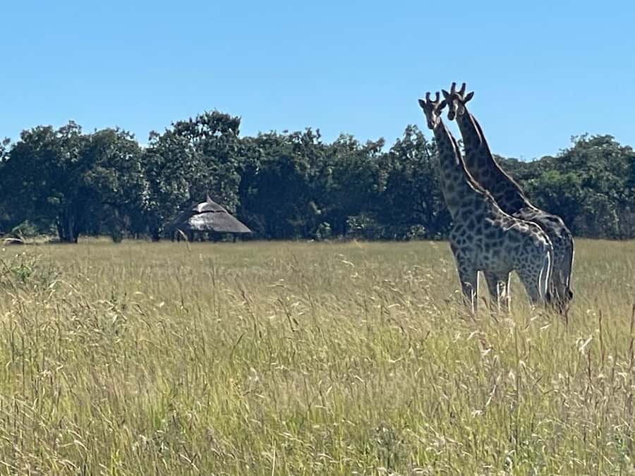 Harare: Half Day Outdoor Adventure - What’s included for $115, and what you should budget separately