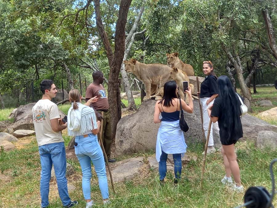 Harare: Half Day Outdoor Adventure - Getting picked up with Sir Lance Tours And Safaris, and why it matters
