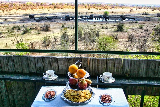 High Tea in the Savannah, Catering by Victoria Falls Hotel - Key highlights before you go