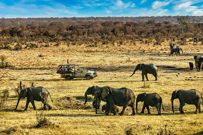 High Tea in the Savannah, Catering by Victoria Falls Hotel - The high tea setup at a waterhole, Victoria Falls Hotel style