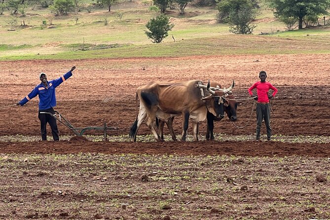 Horse Riding Community Village Tour Experience - Included extras that make the morning smoother