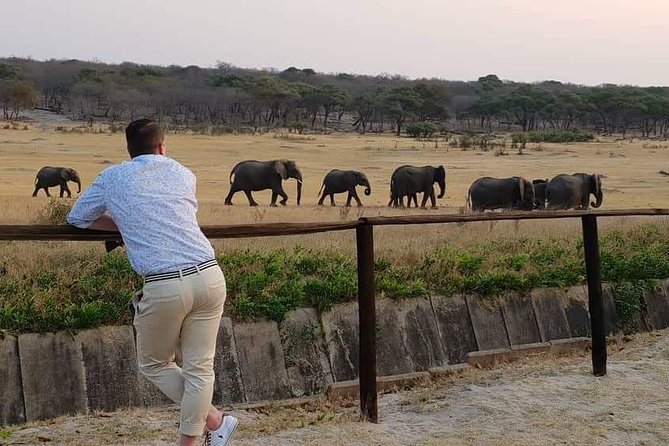 Hwange 3 day Safari - Hwange Safari From Victoria Falls: Why This 3 Days Works