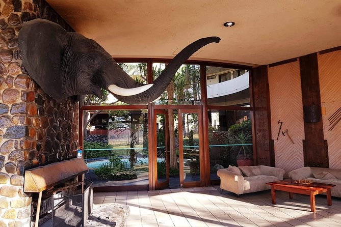 Hwange 3 day Safari - Day 1 in Hwange National Park: First Night and First Impressions