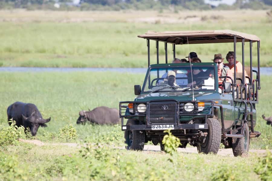 Hwange Big 5 Wildlife Safari - Day Trip from Victoria Falls - Afternoon Drive: Cooler Hours When Animals Drift Back