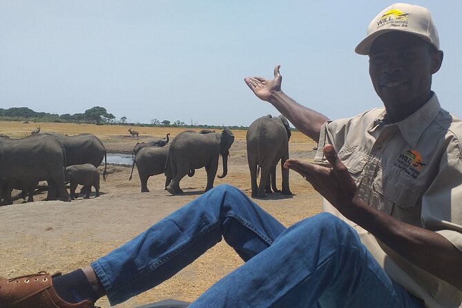 Hwange National Park Full Day Trip - Morning Game Drive (09:00 to About 12:00): What You’re Really Chasing