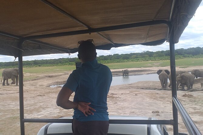 Hwange National Park Full Day Trip - Small Group Safari Logic: Why Limit 10 Feels Better Than It Sounds
