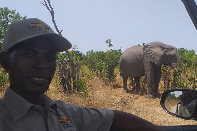 Hwange National Park Full Day Trip - Who This Trip Suits Best (And Who Might Want Something Else)