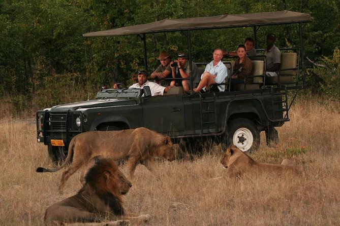 Hwange (Safari) Day Trip from Victoria Falls - Why Hwange from Victoria Falls feels more real