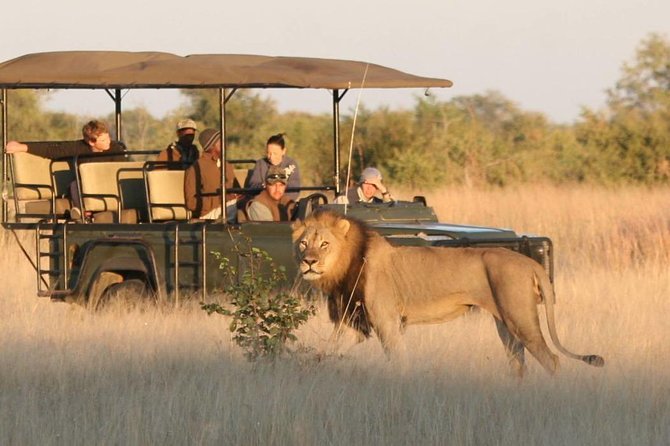 Hwange (Safari) Day Trip from Victoria Falls - The 6:00am to about 16:30 schedule (and why it helps)