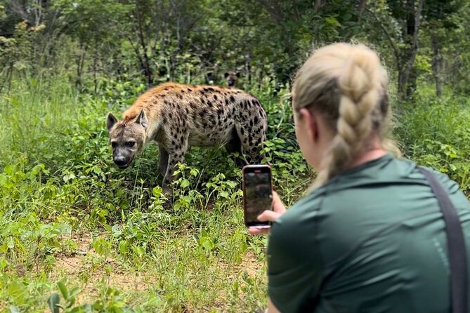 Lion & Wildlife Sanctuary Excursion Victoria Falls - Key things to know before you go