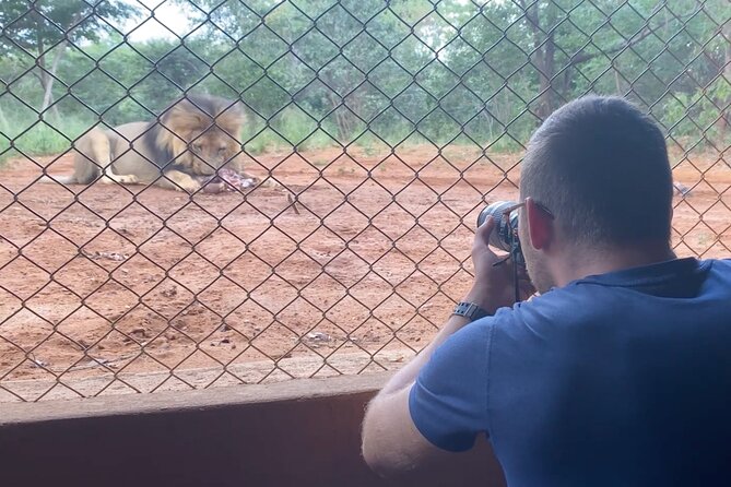 Lion & Wildlife Sanctuary Excursion Victoria Falls - Pride drive and guaranteed lion sightings in a secure safari vehicle