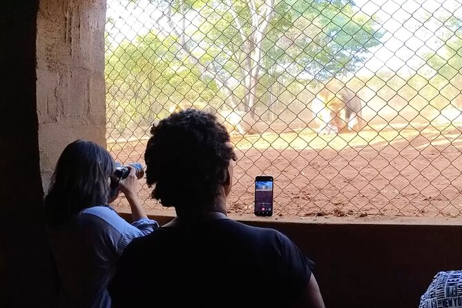 Lion & Wildlife Sanctuary Excursion Victoria Falls - Getting there: pickup, air-conditioned comfort, and how long it really takes
