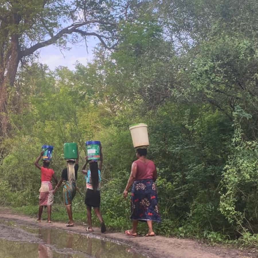 Livingstone: Amazing Traditional Village & Dance Culture - Price and value: is $68 a fair deal?
