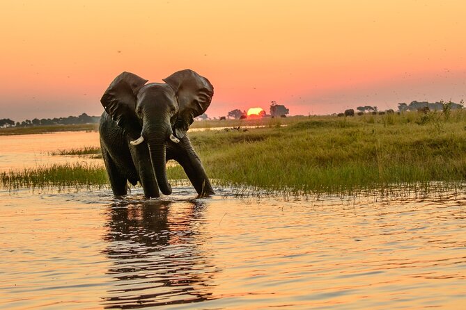 Luxury Sunset River Cruise on the Zambezi - The luxury part is the comfort, not the costume
