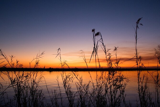 Luxury Sunset River Cruise on the Zambezi - Price and value: what $100 really means once you add the park fees
