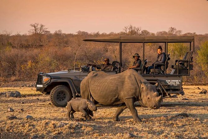 Morning or Afternoon Game Drive In Victoria Falls - Key Highlights You Should Know Before Booking