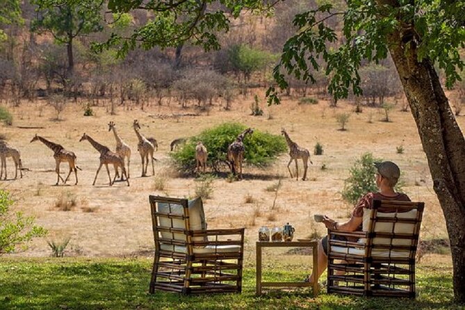 Morning or Afternoon Game Drive In Victoria Falls - How the 3 to 4 Hours Works, Including the Afternoon 3pm Start