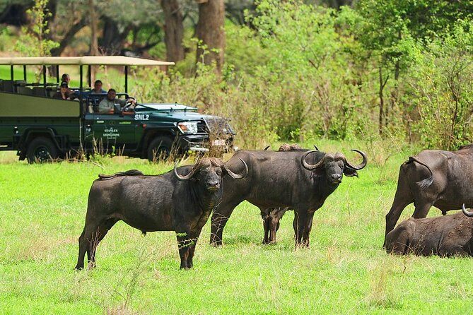 Morning or Afternoon Game Drive In Victoria Falls - Inside Stanly and Livingstone: A Private 6,000-Acre Game Reserve