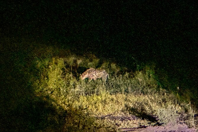 Night Game Drive in Zambezi National Park and Victoria Falls - Price and Value: What $131 Really Buys (and What You Pay Separately)