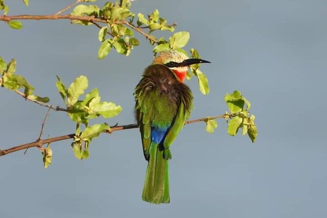 Private Guided Tour in Victoria Falls - Victoria Falls viewpoints, guided in a way that feels personal