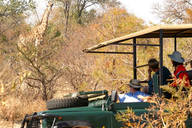 Safari Game Drive in Zambezi National Park with Hotel Pickup - Wildlife expectations, how to enjoy it even if sightings vary
