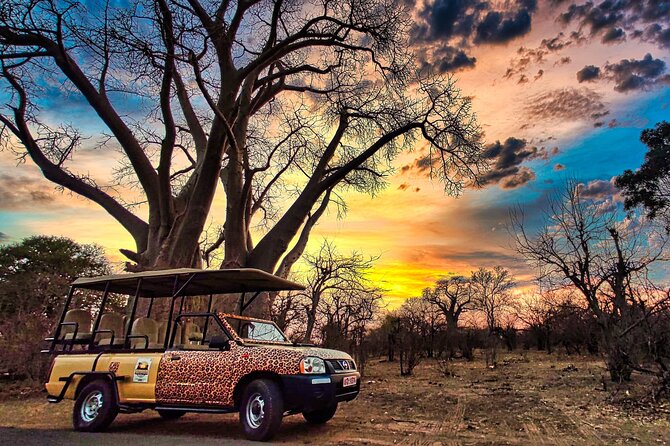 Safari in Victoria Falls and Zambezi National Park - Why This Zambezi Game Drive Feels Different Than a Zoo