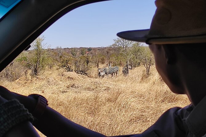 Safari in Victoria Falls and Zambezi National Park - Getting Started in Victoria Falls: Pickup, Short Briefing, and the 10-Minute Transfer