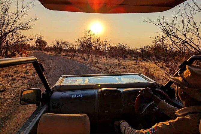 Safari in Victoria Falls and Zambezi National Park - Timing Options: Early Morning, Mid-Morning, or Afternoon Drives
