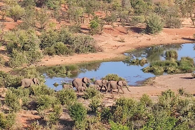 Safari in Victoria Falls and Zambezi National Park - Stop 1 in Practice: Hotel Pickup and Getting Your Bearings