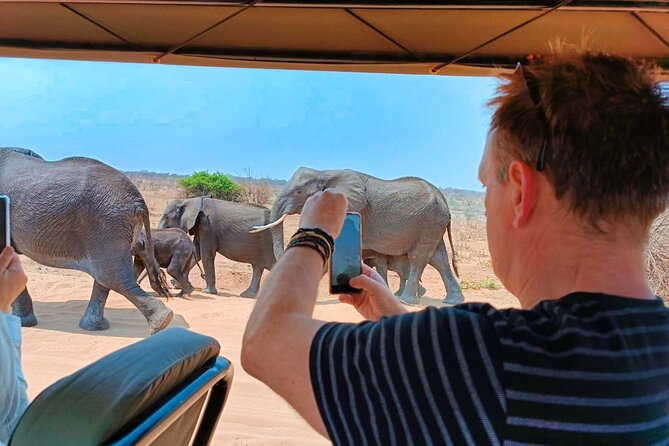 Safari in Victoria Falls and Zambezi National Park - Stop 2: The Main Game Drive and What “Right Place, Right Time” Really Means