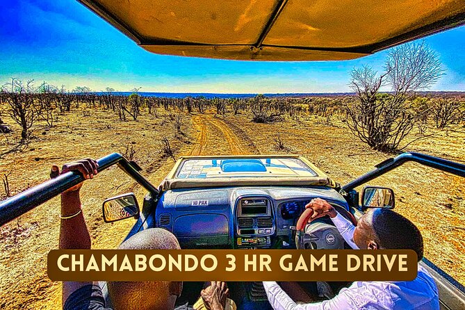 Safari in Victoria Falls and Zambezi National Park - The Refreshment Break: Coffee or Tea Plus High Tea With Fruits