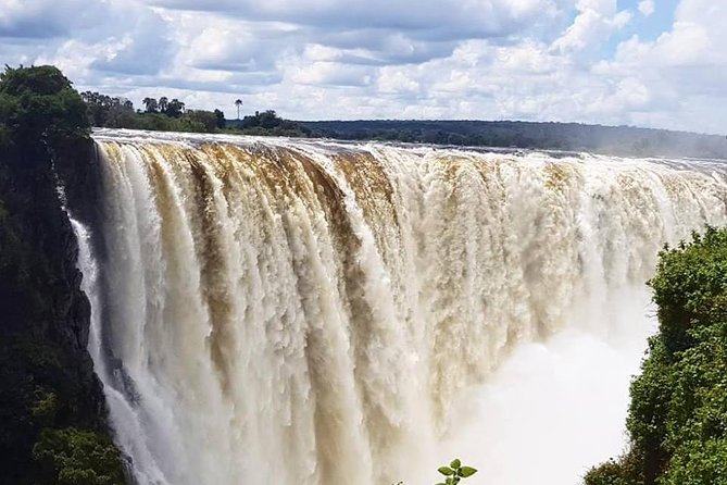 Small-Group Devil's Pool and Livingstone Island Tour - Small-group size: why it changes the feel of the day