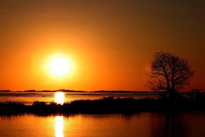 Standard Sunset Cruise - Wildlife Chances: Hippos, Crocodiles, Elephants, and River Birds