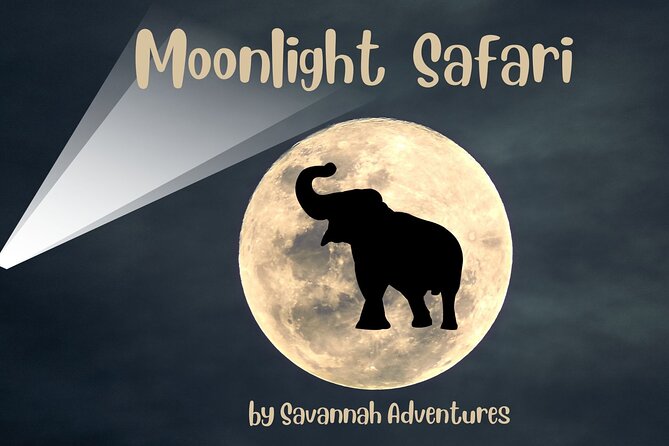 Stargazing and Moonlight Experience - Key highlights you will actually care about