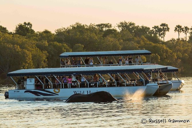 Sundowner Cruise on Zambezi River (Zimbabwe) - Quick things to know before you board