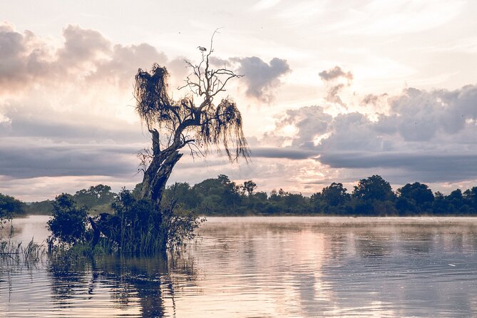 Sunrise Cruise on the Zambezi River - Zambezi National Park stretches: wildlife chances without the big slog