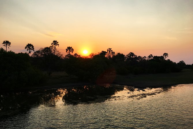 Sunset Cruise Wildlife Watching Experience at Zambezi River - What Happens During the Cruise Once You’re on the River