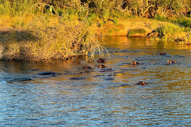 Sunset Cruises on the Zambezi River from Victoria Falls - Jetty Timing and How to Choose Your Deck for the Best Sunset